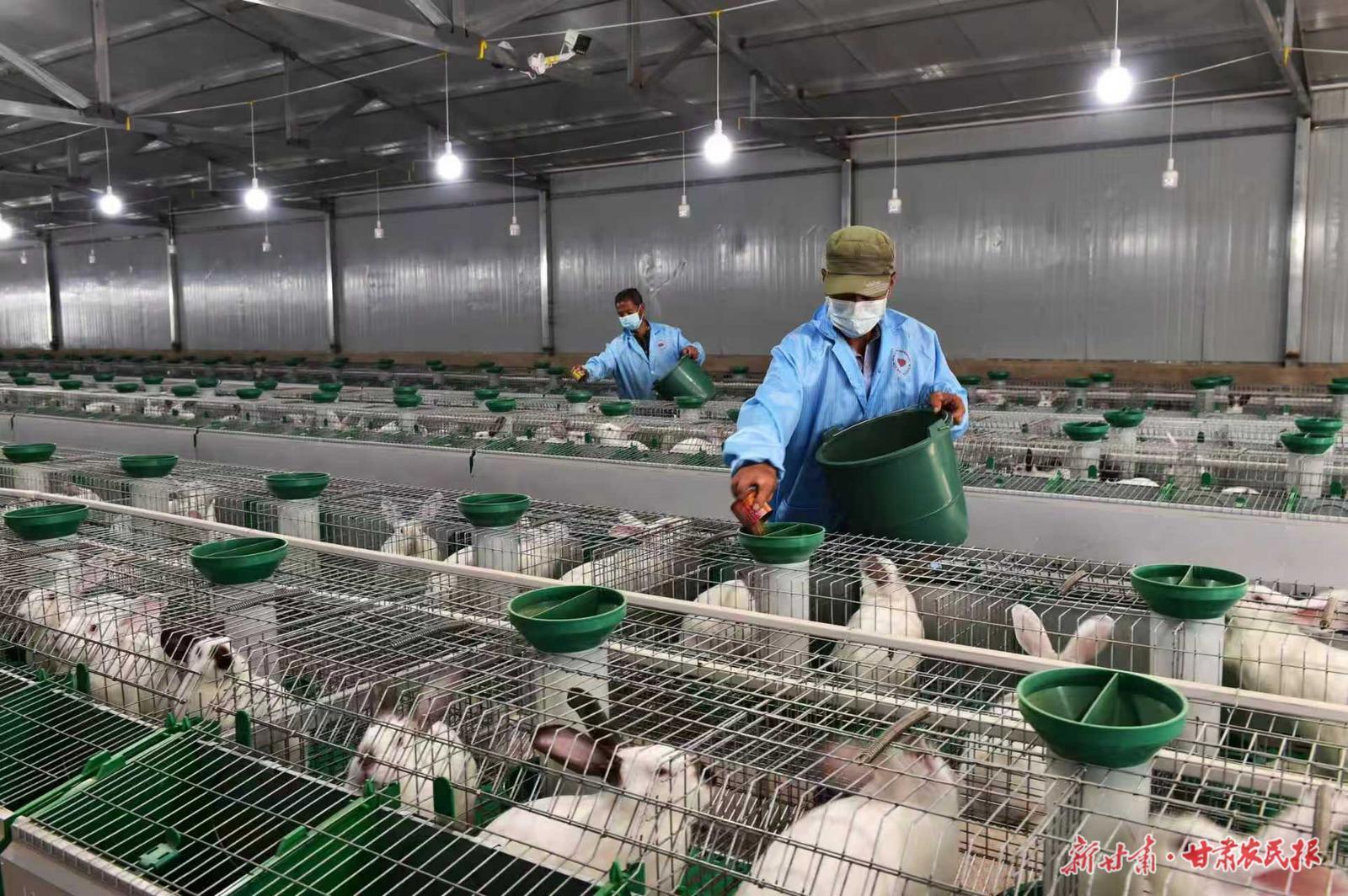 【甘肅農(nóng)民報(bào)】平泉“三疊”——鎮(zhèn)原縣平泉鎮(zhèn)土地生金、文化流彩、旅游聚氣的生動(dòng)實(shí)踐