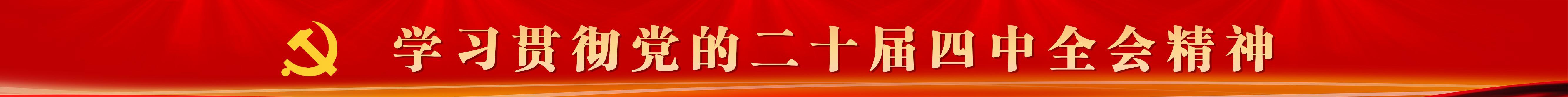 學(xué)習(xí)貫徹黨的二十屆四中全會精神