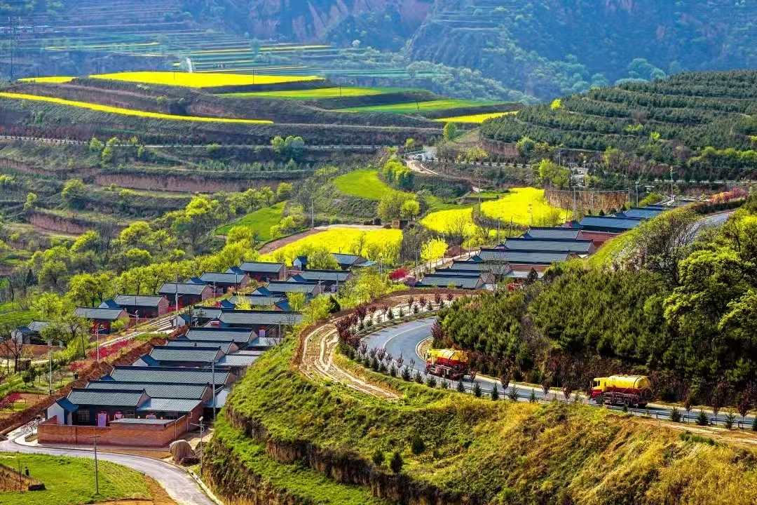 黃土塬的山村“蝶變”——甘肅省慶陽(yáng)市西峰區(qū)毛寺村采訪記【銜接這五年④】