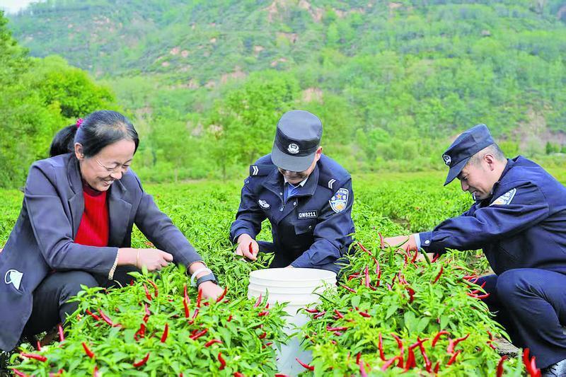 【法治慶陽】寧縣公安 深耕“田間警務”護航秋收保平安