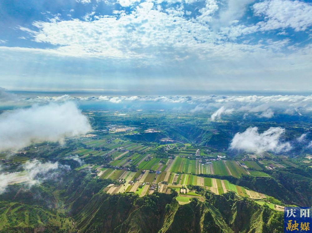 【攝影報(bào)道】秋浸慶陽，風(fēng)梳大地葉正黃！