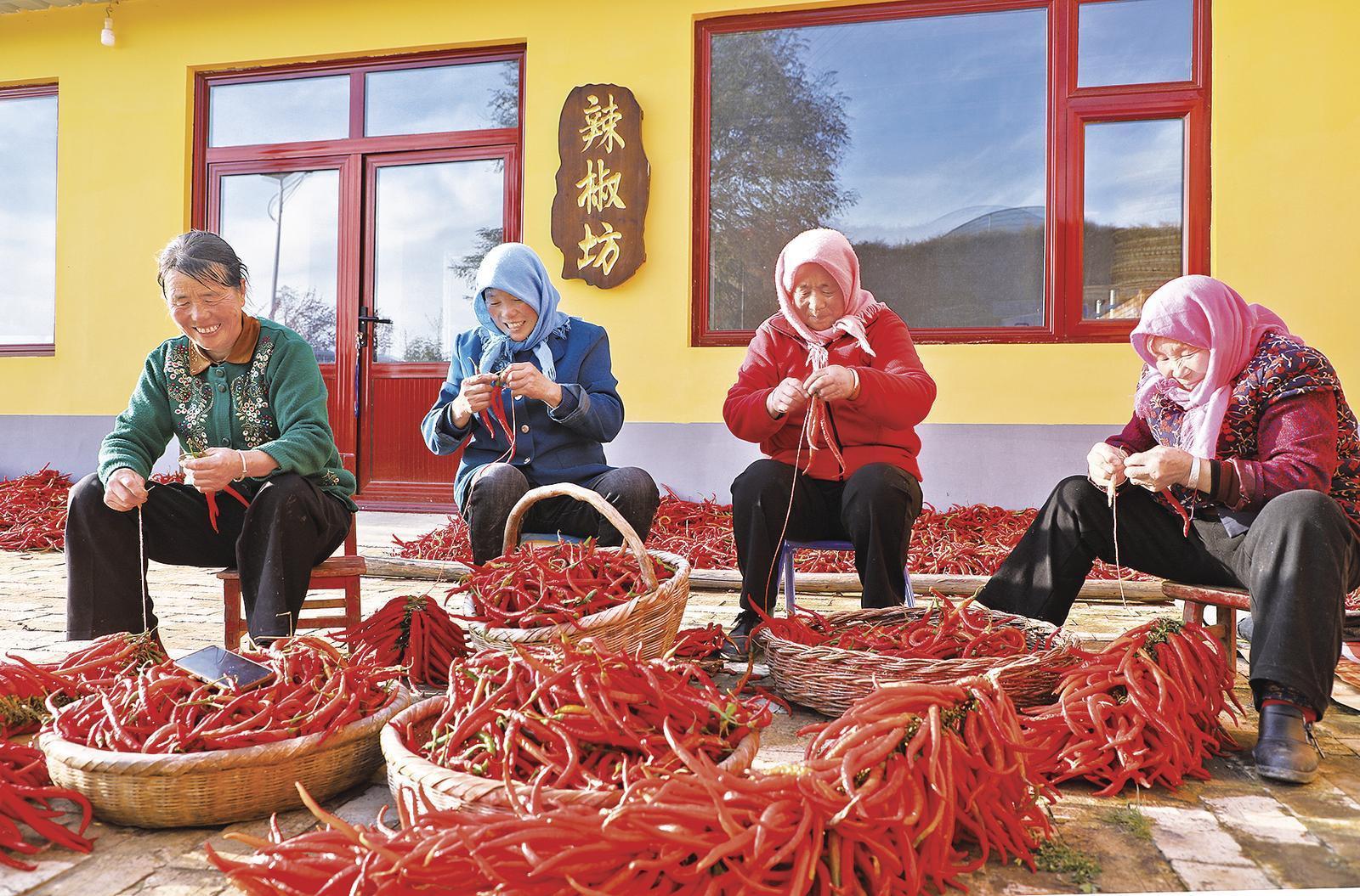 【深化農(nóng)文旅融合】環(huán)縣莊子峁的五年蝶變