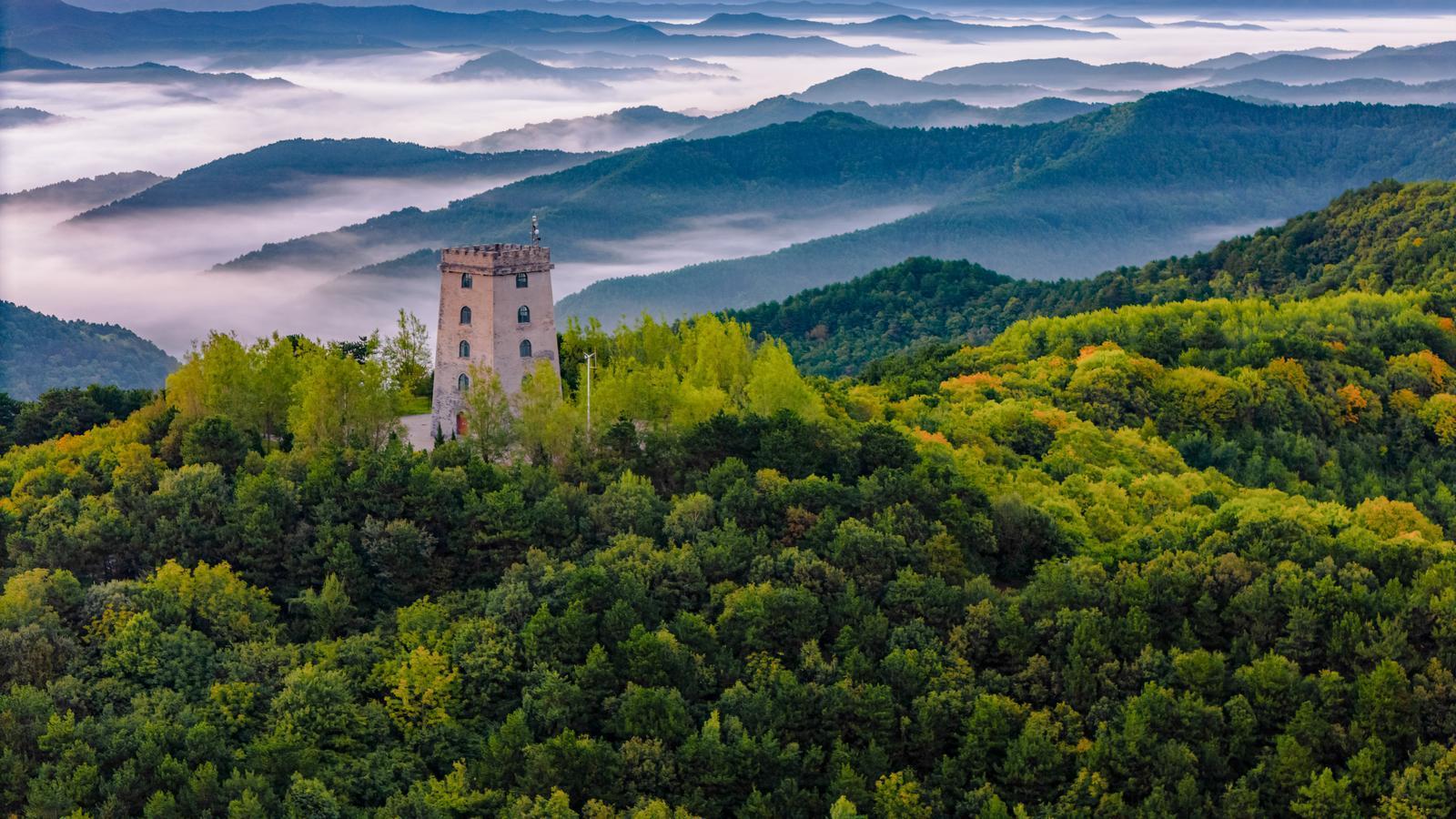 守護(hù)生態(tài)慶陽(yáng) 共建安全屏障︱厚植優(yōu)勢(shì)向綠而行 生態(tài)基底持續(xù)夯實(shí) ——慶陽(yáng)市“五個(gè)協(xié)同”筑牢生態(tài)安全屏障