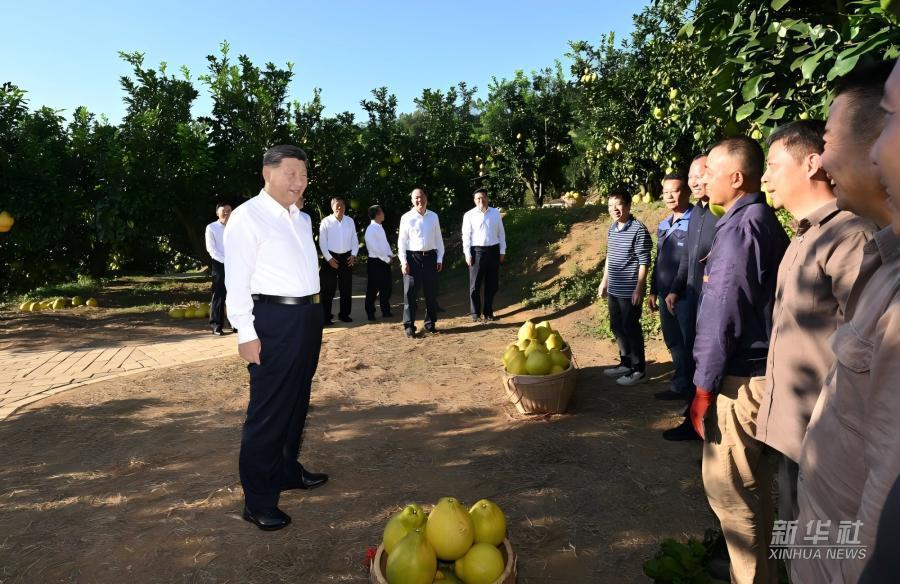 學習進行時｜習近平總書記關心推動老區(qū)發(fā)展振興的故事