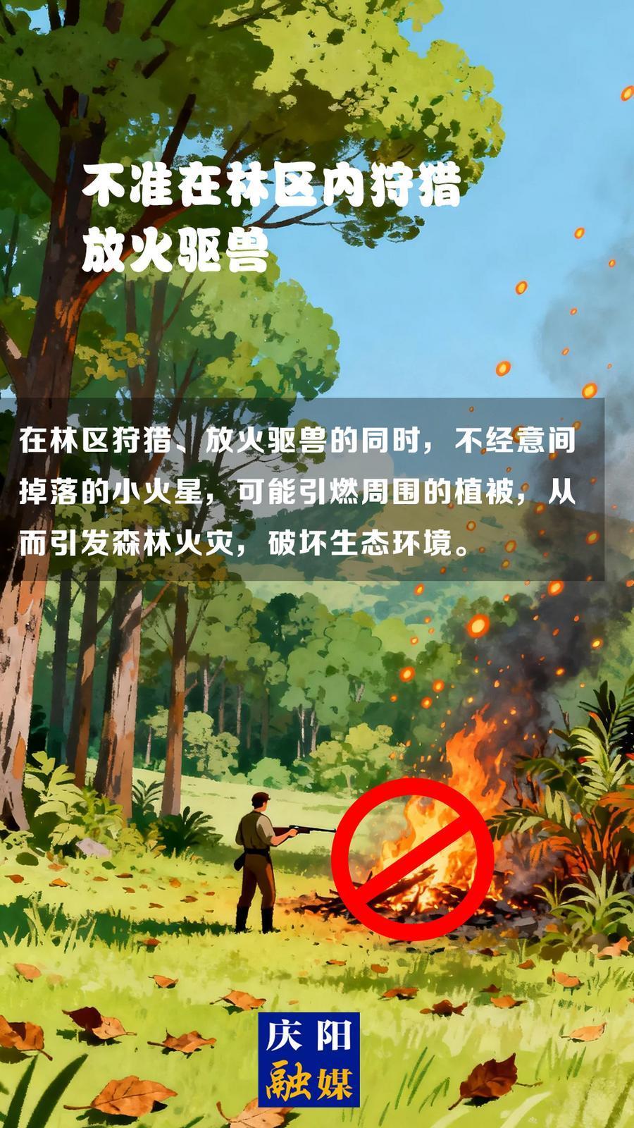 【微海報】森林防火知識科普?(13)丨不準(zhǔn)在林區(qū)內(nèi)狩獵放火驅(qū)獸