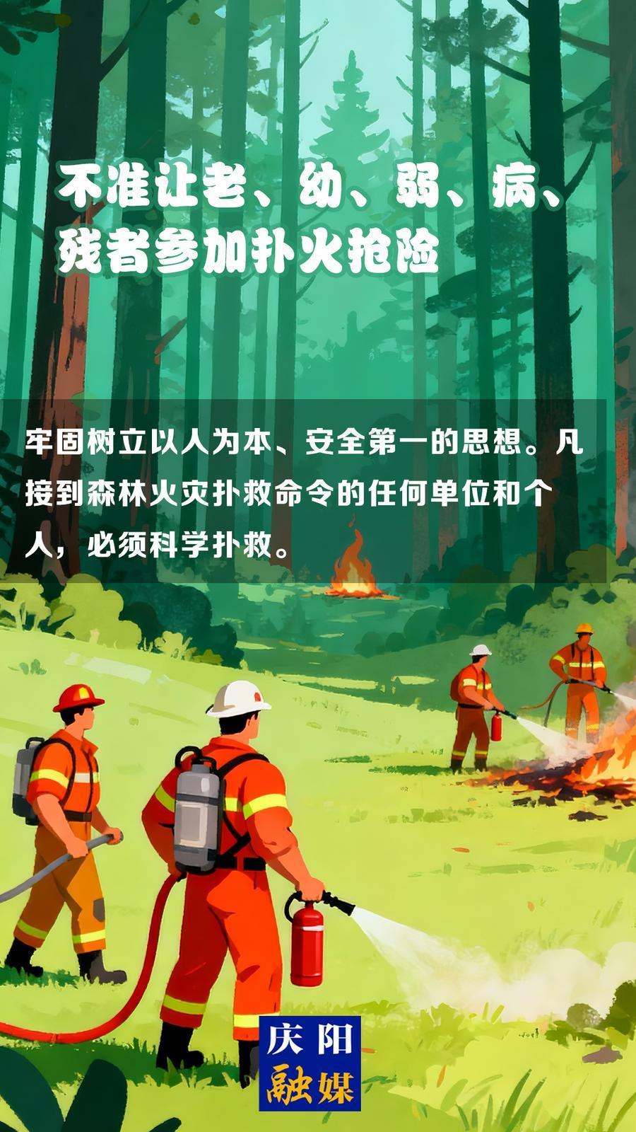 【微海報】森林防火知識科普?(14)丨不準(zhǔn)讓老、幼、弱、病、殘者參加撲火搶險