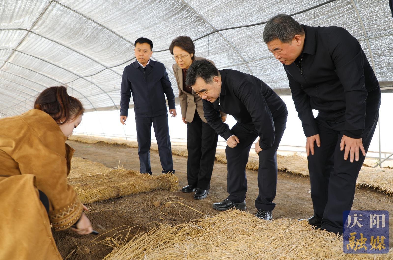 黃澤元在合水縣調研時強調 以農文旅融合賦能鄉(xiāng)村全面振興 以產(chǎn)業(yè)升級激發(fā)高質量發(fā)展活力