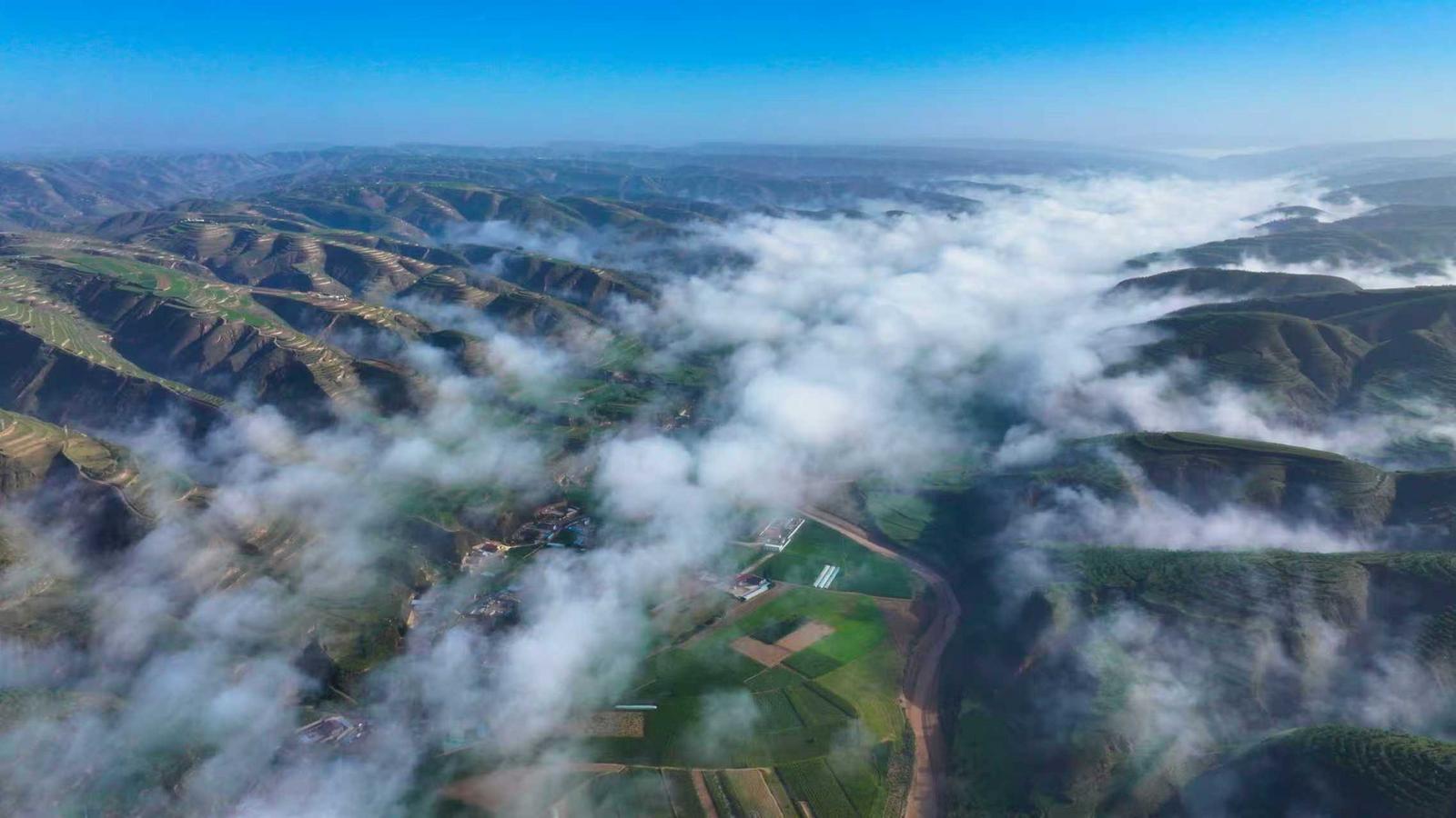 環(huán)縣攻堅黃河“幾字彎” 筑起綠色生態(tài)屏障