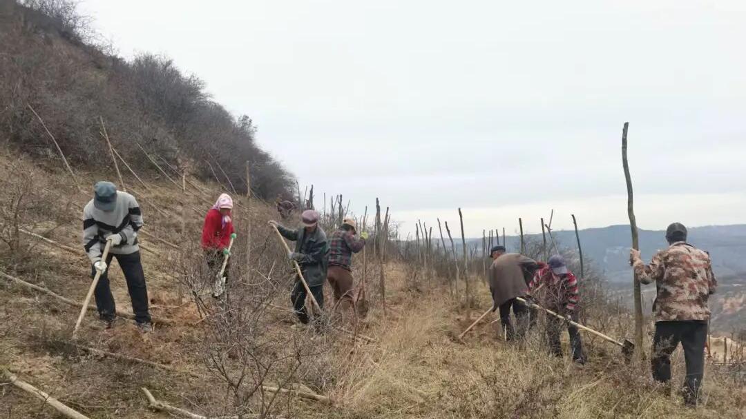 正寧：造林護(hù)綠富農(nóng)家