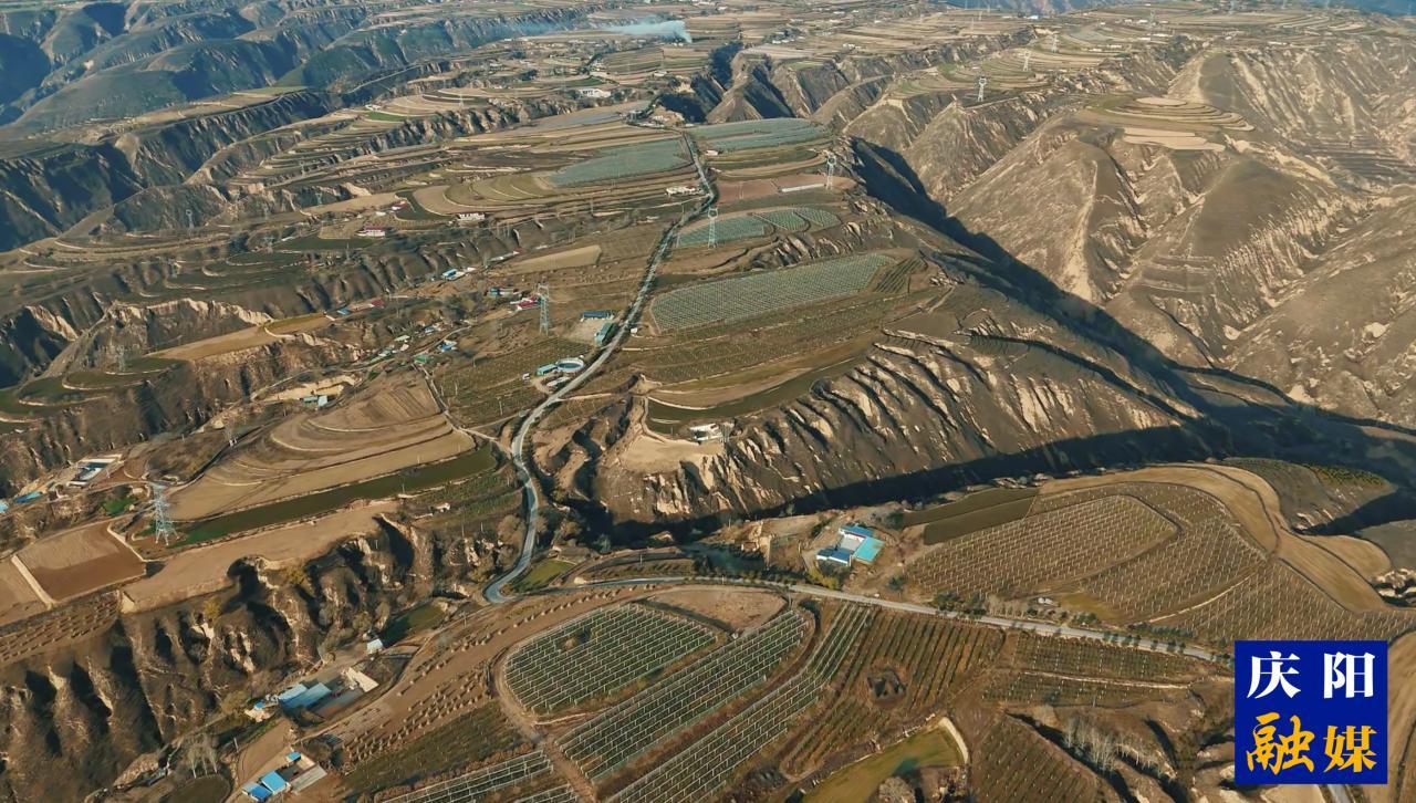 慶陽福地 天賜瑞果| 環(huán)縣“羊+果”模式鋪就生態(tài)致富路
