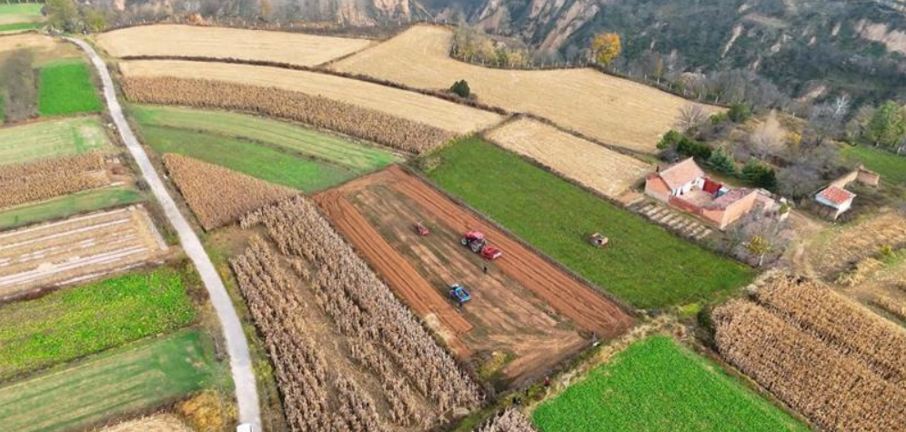 【鄉(xiāng)村行 看振興】西峰區(qū)：中藥材產(chǎn)業(yè)“點(diǎn)綠成金”激活鄉(xiāng)村振興“新引擎”