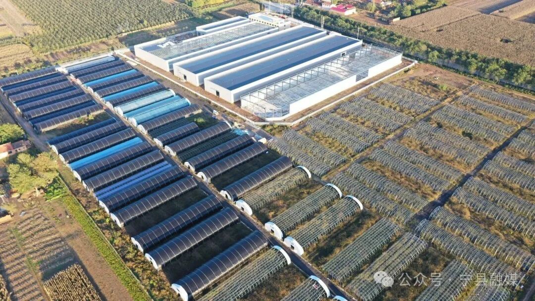 寧縣：重大項目引領高質(zhì)量發(fā)展新篇章