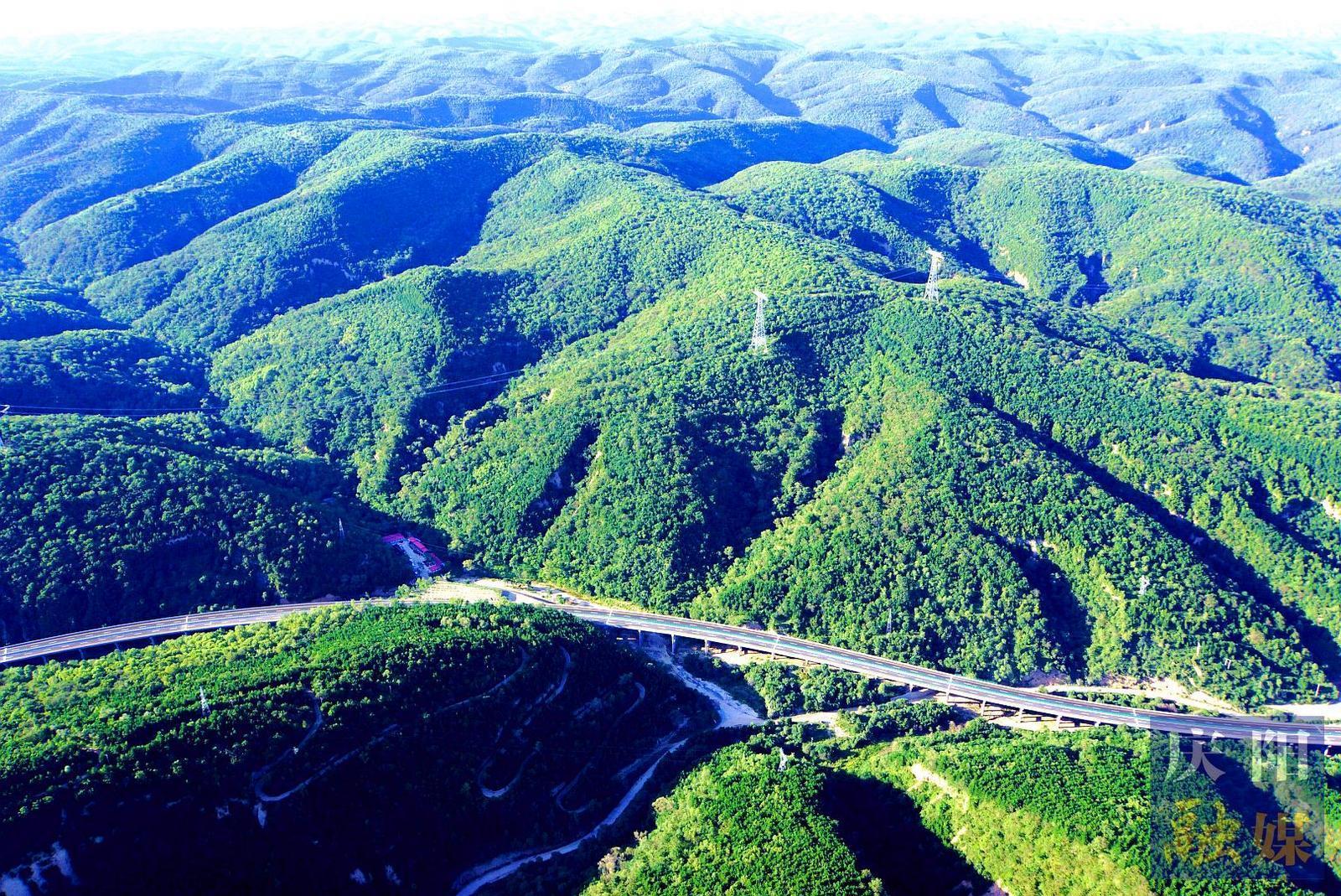 非凡“十四五”奮進(jìn)新慶陽(yáng) | 綠染隴東 生態(tài)惠民——“十四五”以來(lái)慶陽(yáng)市林草工作實(shí)現(xiàn)高質(zhì)量發(fā)展