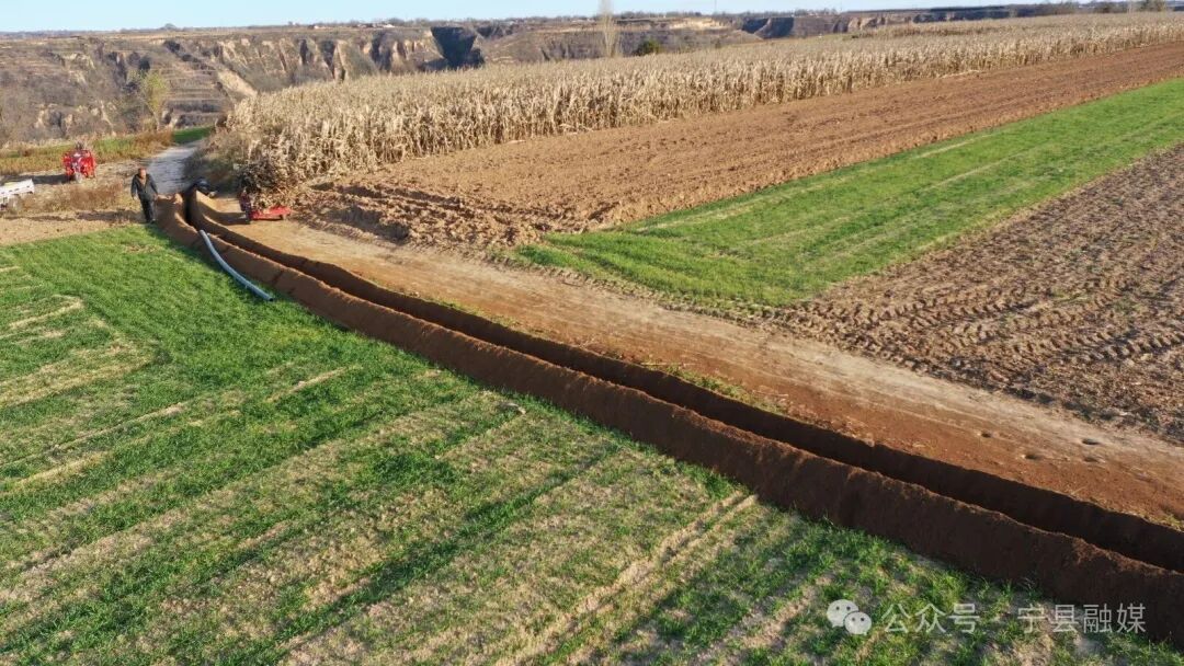 寧縣萬畝糧田“提質(zhì)升級”夯實現(xiàn)代農(nóng)業(yè)發(fā)展“耕”基