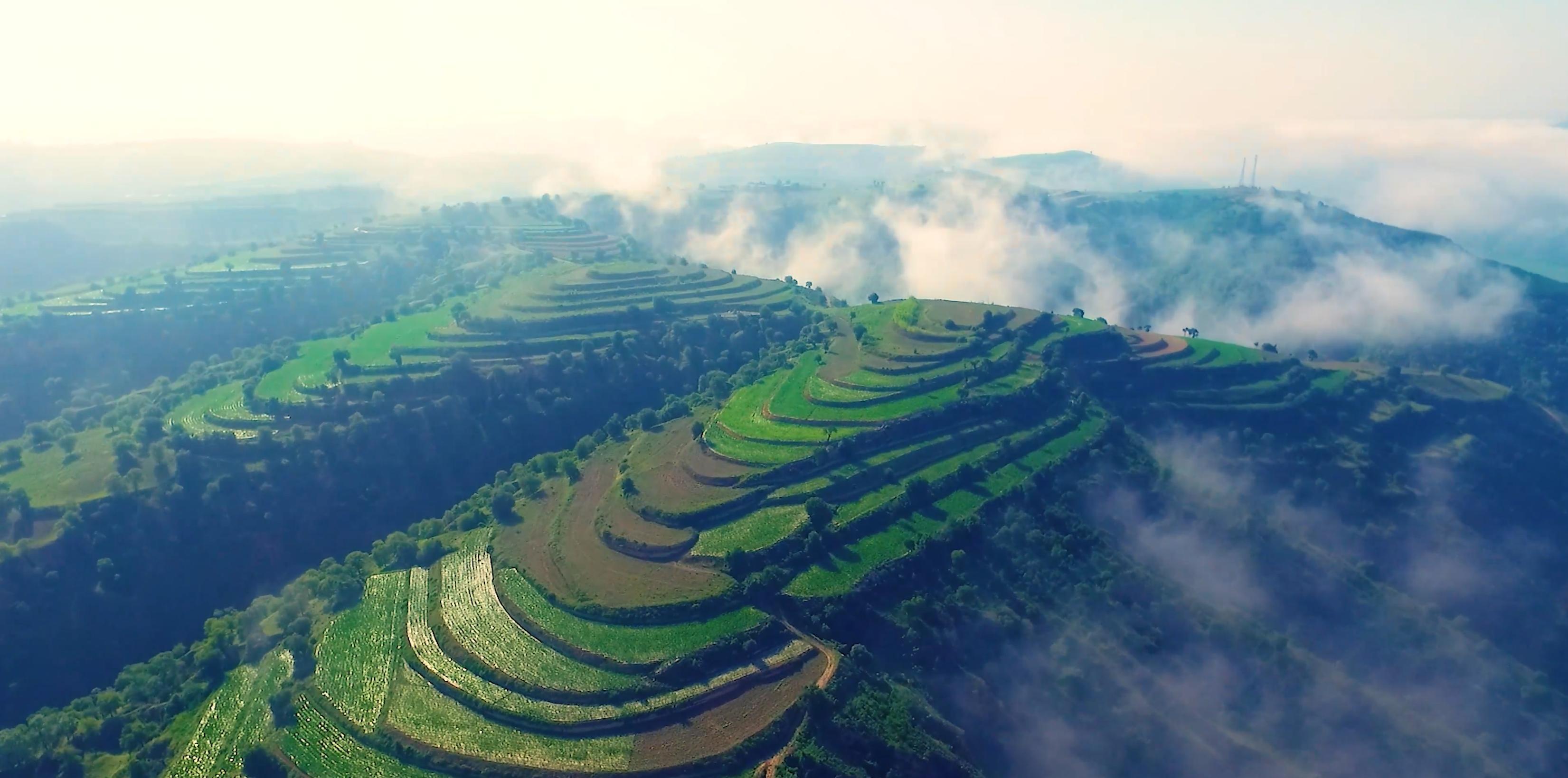 深學細悟踐全會精神 實干篤行譜慶城新篇——慶城縣全面推動二十屆四中全會精神落地生根