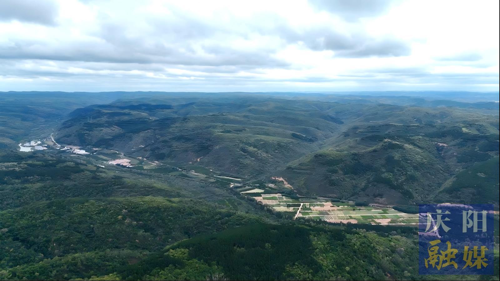 黨旗領(lǐng)航凝聚奮進(jìn)力量  ——慶陽市分類推進(jìn)“五區(qū)”基層黨建紀(jì)實