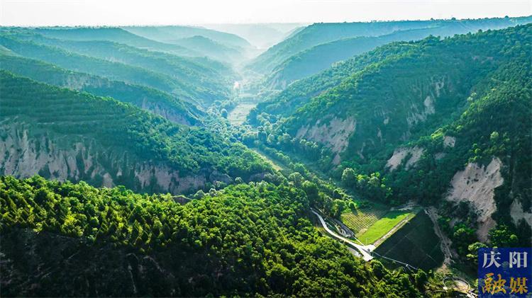 從黃土高原到燕園講堂——西峰局以“碳匯”破題書寫縣域善治的綠色答卷