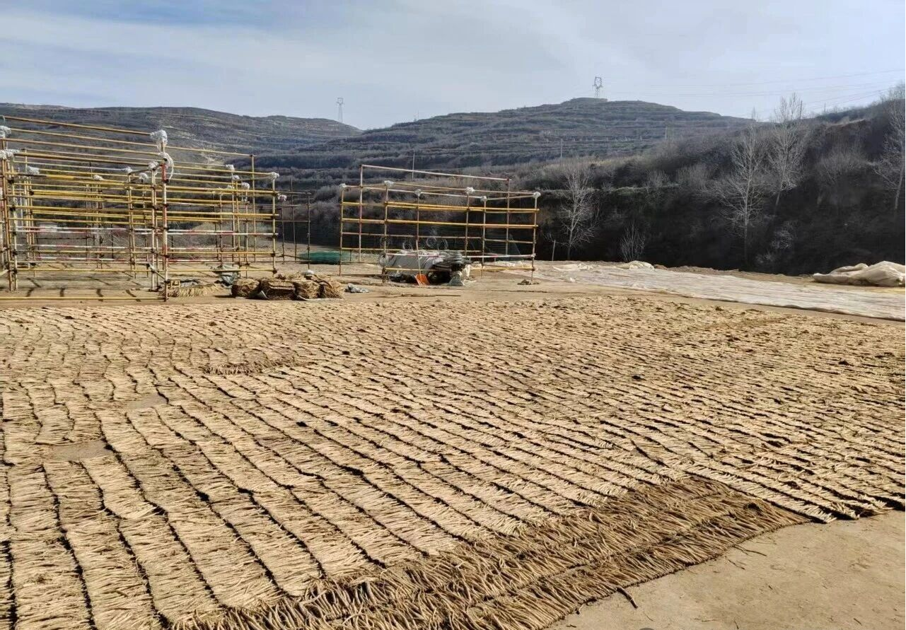 甘肅漳縣：“小藥材”種出強村富民“千金方”