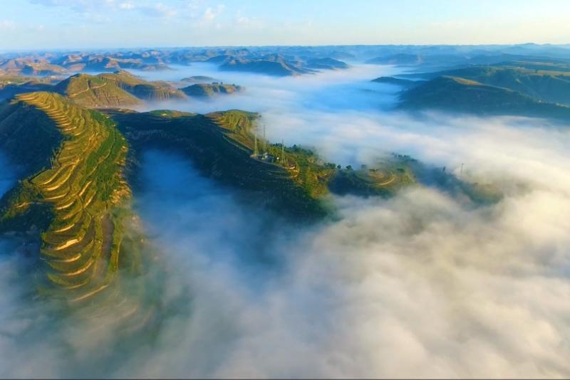 華池：小雜糧撐起致富夢(mèng) 黃土坡奏響振興曲