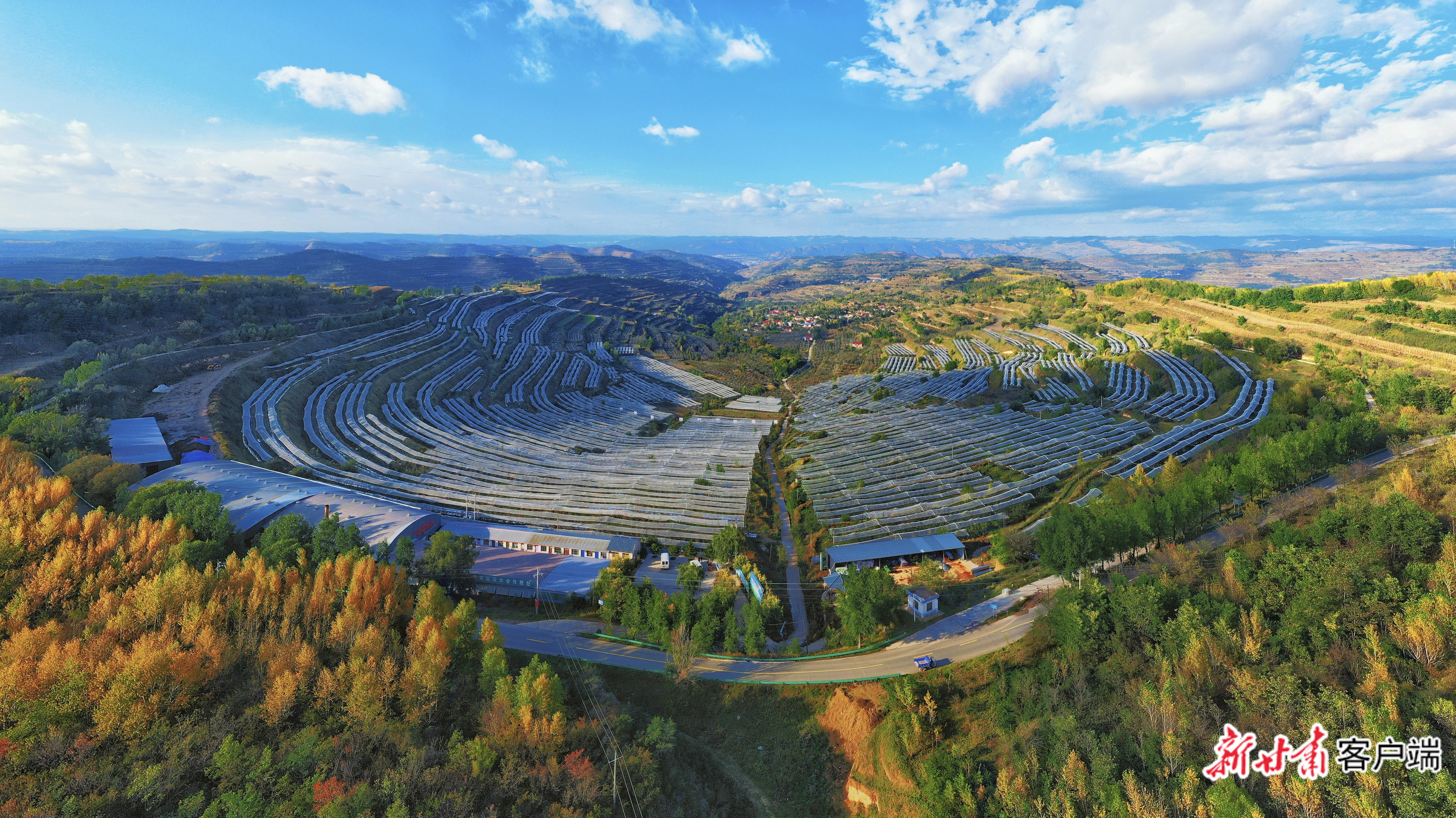 【潮起隴原 奮進(jìn)甘肅】八大產(chǎn)業(yè) 激活鄉(xiāng)村振興新動(dòng)能