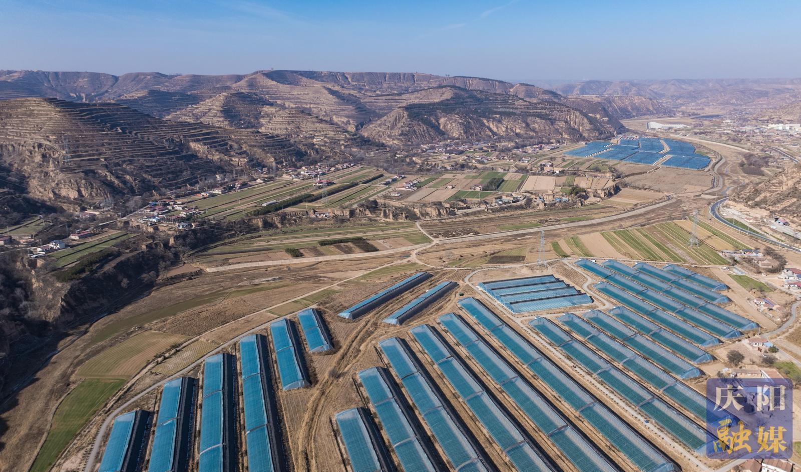 非凡“十四五”奮進(jìn)新慶陽(yáng) | 鎮(zhèn)原縣開(kāi)邊鎮(zhèn)：設(shè)施農(nóng)業(yè)集群發(fā)展 特色產(chǎn)業(yè)賦能鄉(xiāng)村振興