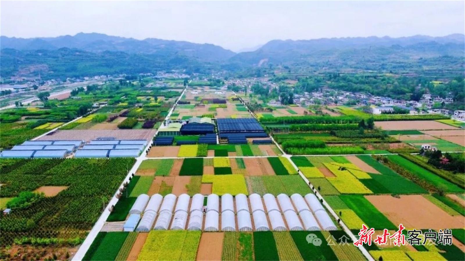 【四中全會(huì)精神在基層·鄉(xiāng)村新風(fēng)貌】徽縣：錨定“六動(dòng)”路徑 加快農(nóng)業(yè)現(xiàn)代化