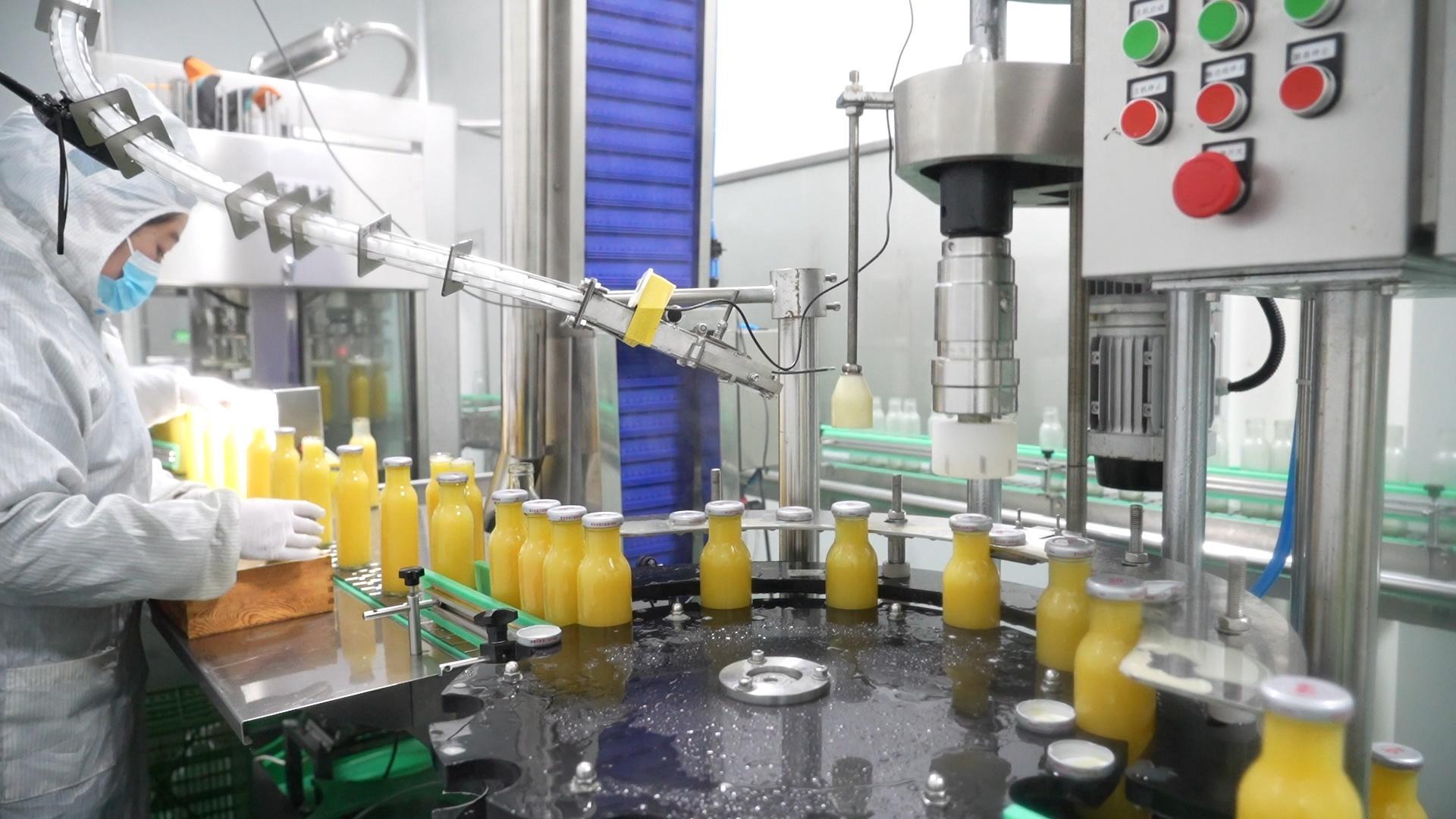 甘肅靜寧蘋(píng)果深加工“破圈”撐起“甜蜜經(jīng)濟(jì)”新增長(zhǎng)極