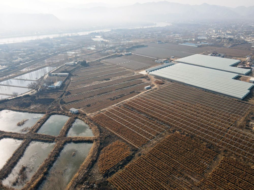 智慧蘆筍園 鄉(xiāng)村振興新支點(diǎn)