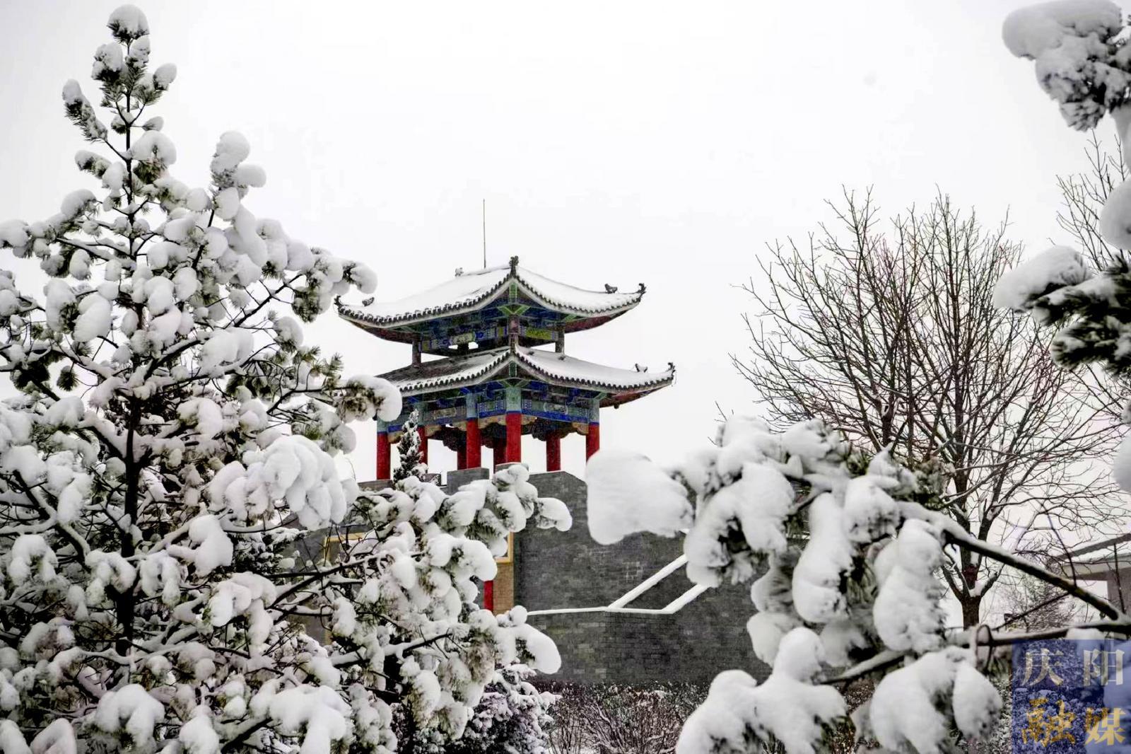 【視覺慶陽】瑞雪兆豐年