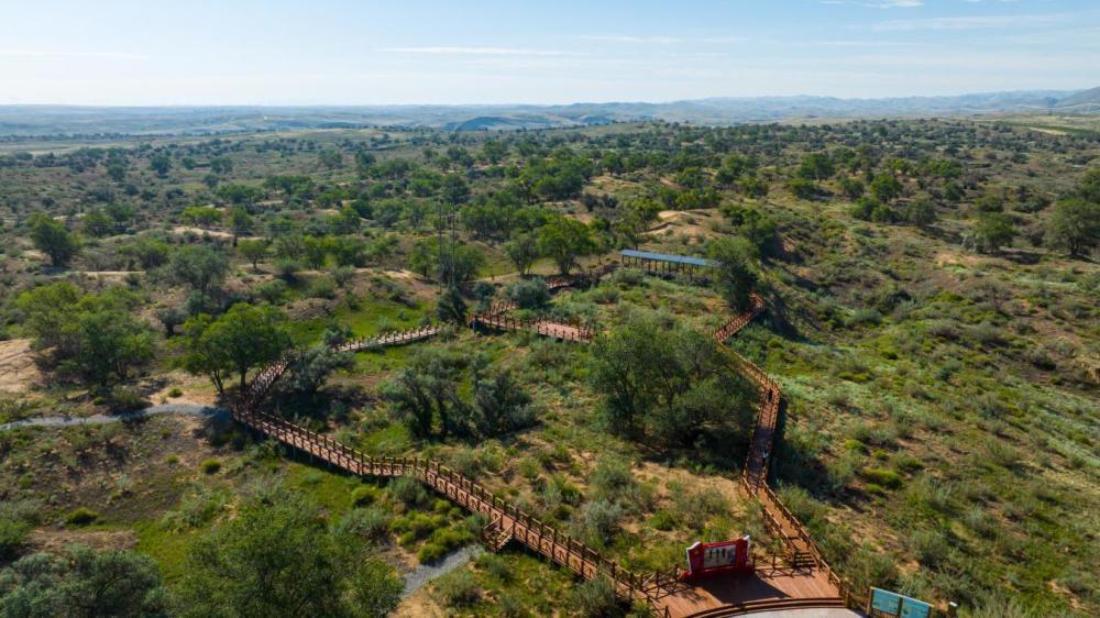 習(xí)近平總書記關(guān)切事·囑托｜生態(tài)守護(hù)者的綠色畫卷