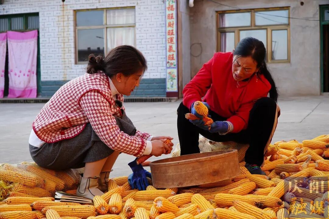 孫曉松 | 假如我是許改燕