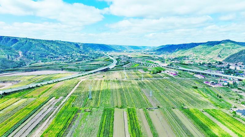 《隴東報》特刊·鄉(xiāng)村振興丨慶城縣：因地制宜做強鄉(xiāng)村特色產業(yè)