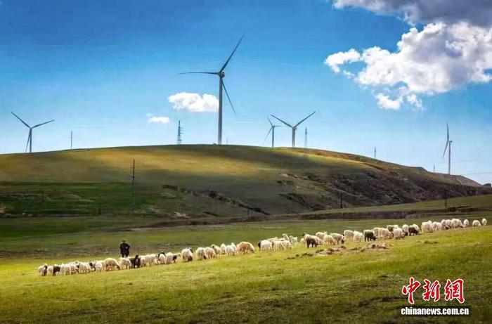 大件羊肉撐起的“一羊興鎮(zhèn)”致富路