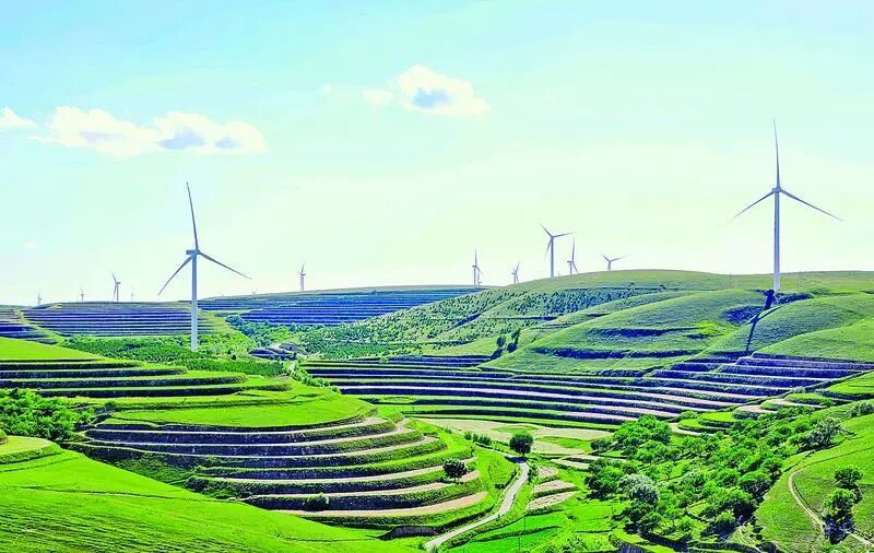 【慶陽(yáng)·縣區(qū)觀察】一件羊肉緣何帶火一座小鎮(zhèn)？