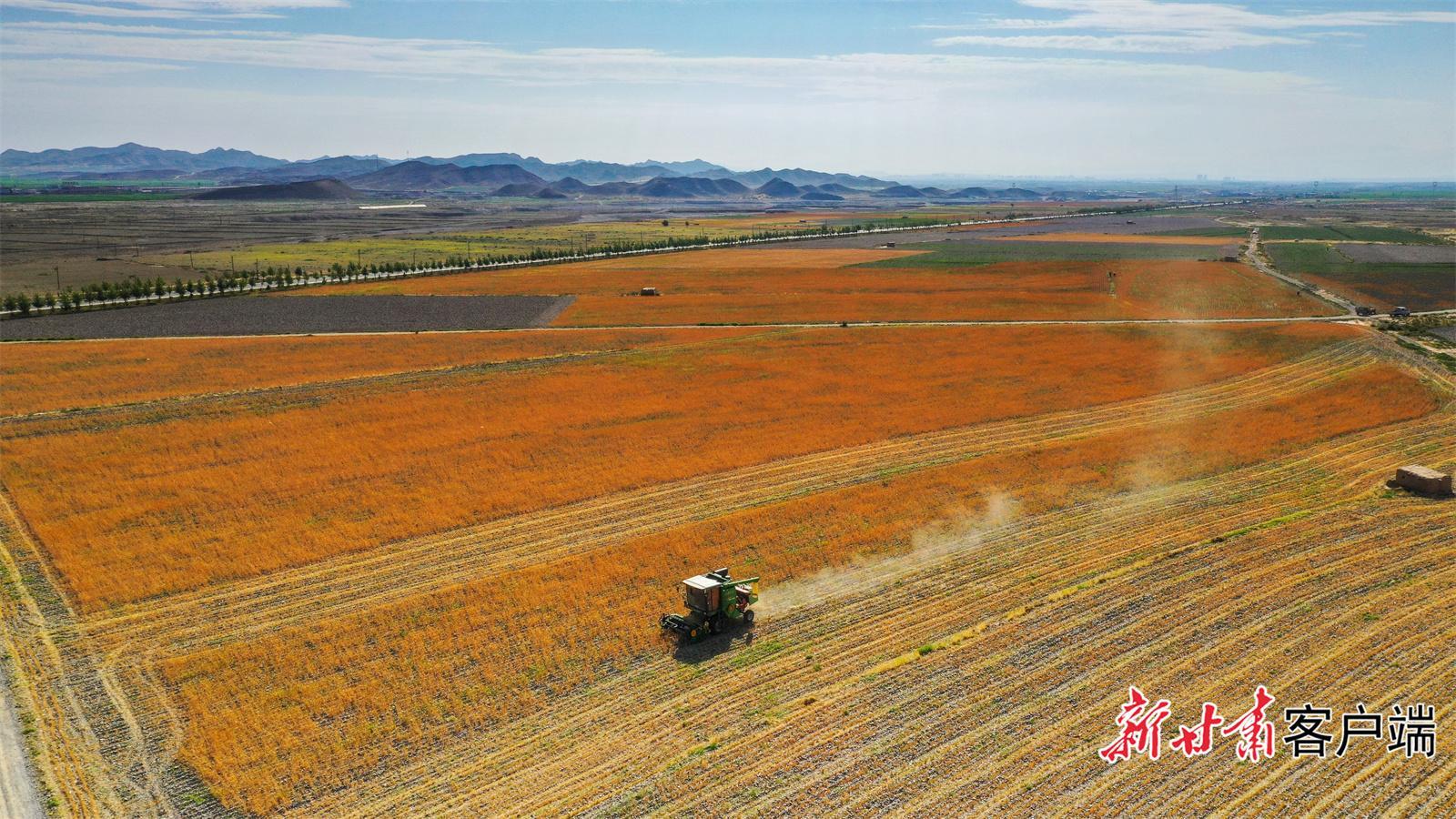 白銀市高標準農(nóng)田建設提質(zhì)增效