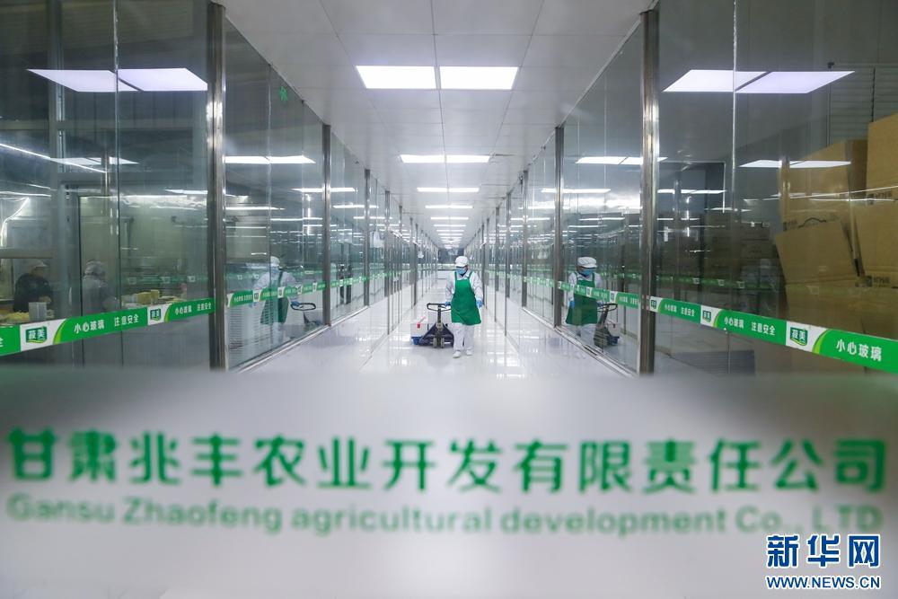 西北山鄉(xiāng)豆制品香飄海外