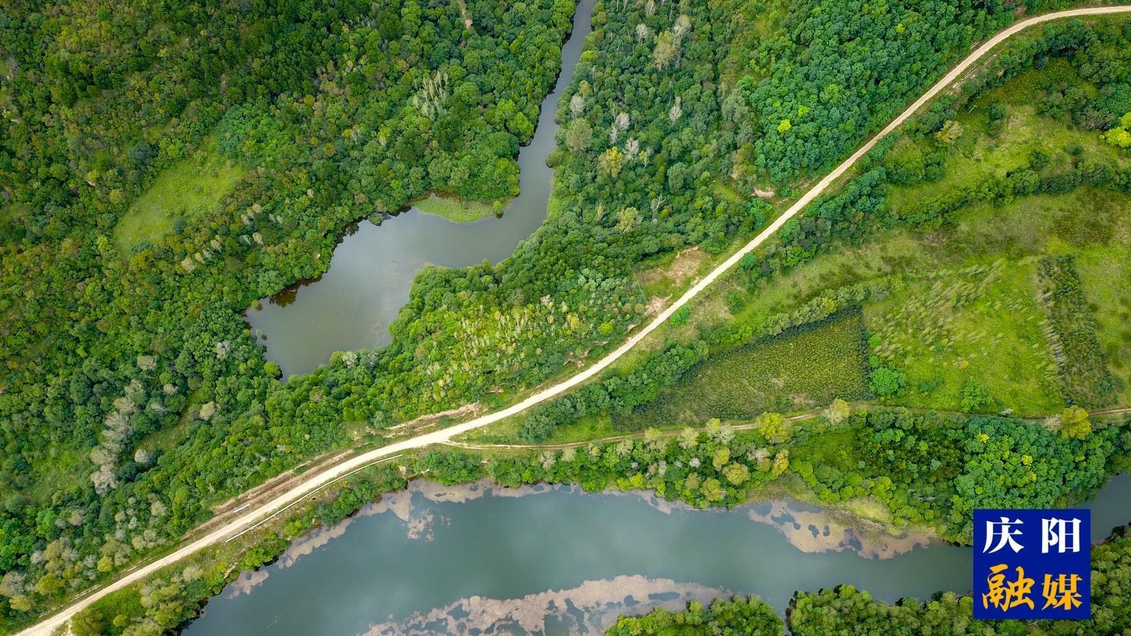 慶陽(yáng)市筑牢生態(tài)安全屏障增強(qiáng)綠色發(fā)展動(dòng)能