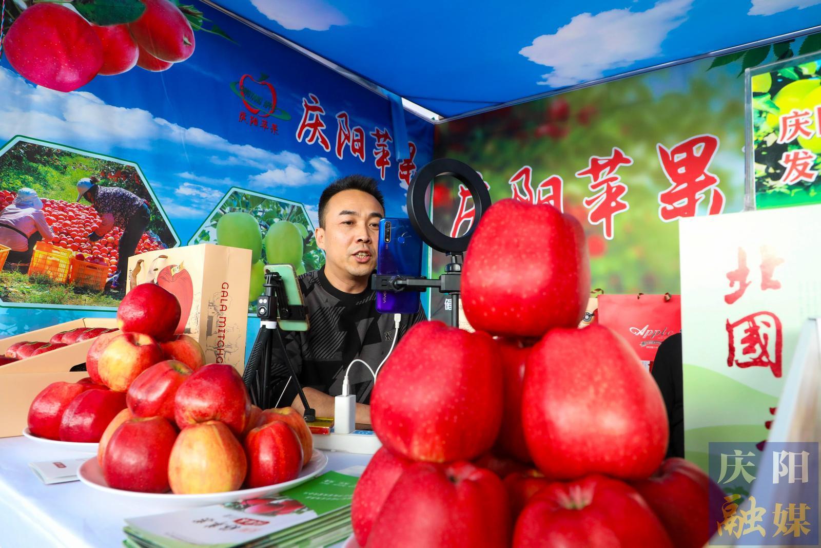 慶陽(yáng)蘋(píng)果2025產(chǎn)季量銷(xiāo)價(jià)齊升 數(shù)據(jù)見(jiàn)證產(chǎn)業(yè)發(fā)展向新向好