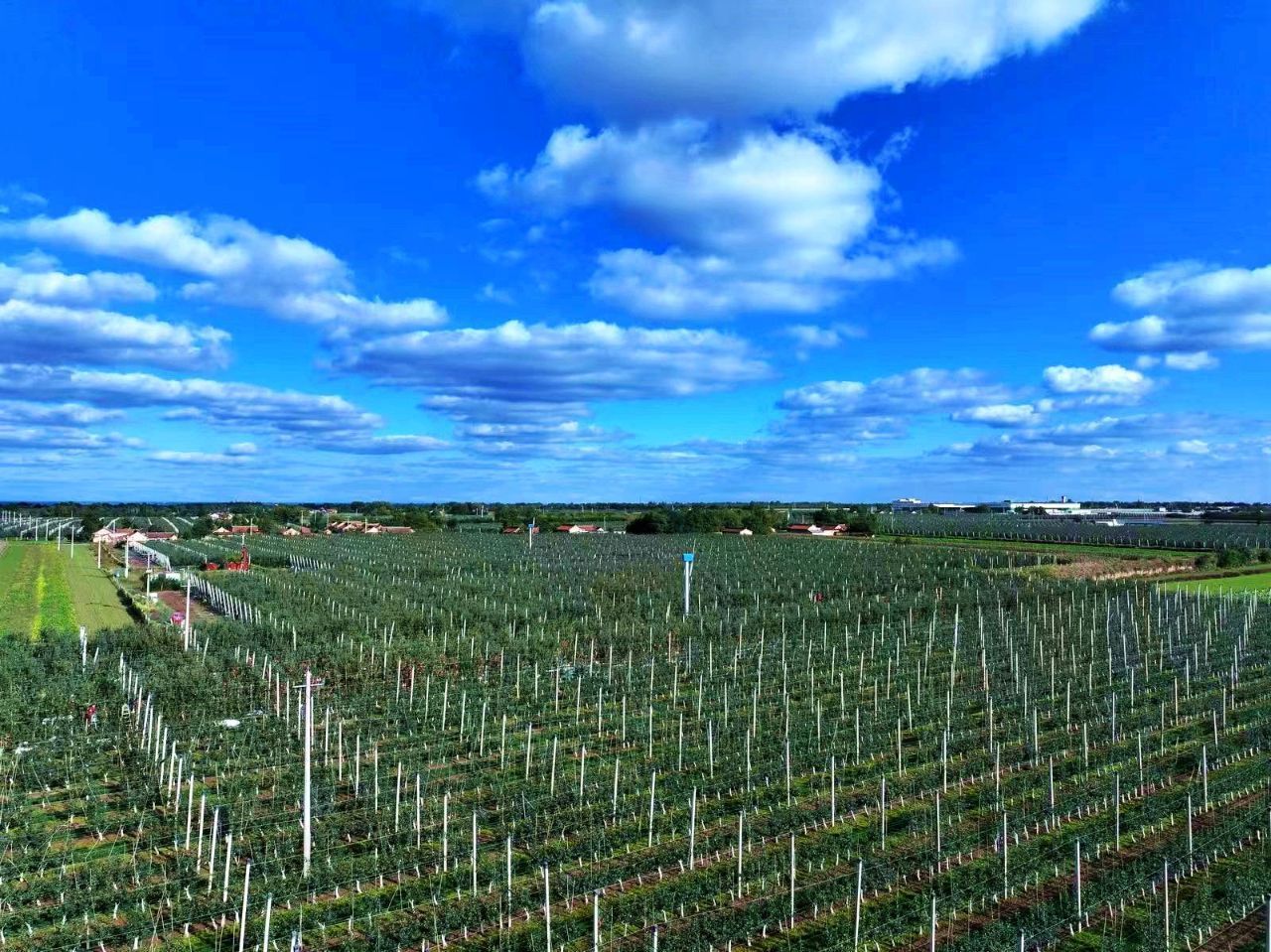 善金潤(rùn)紅土 振興譜新篇 ——中央專(zhuān)項(xiàng)彩票公益金賦能寧縣革命老區(qū)高質(zhì)量發(fā)展紀(jì)實(shí)