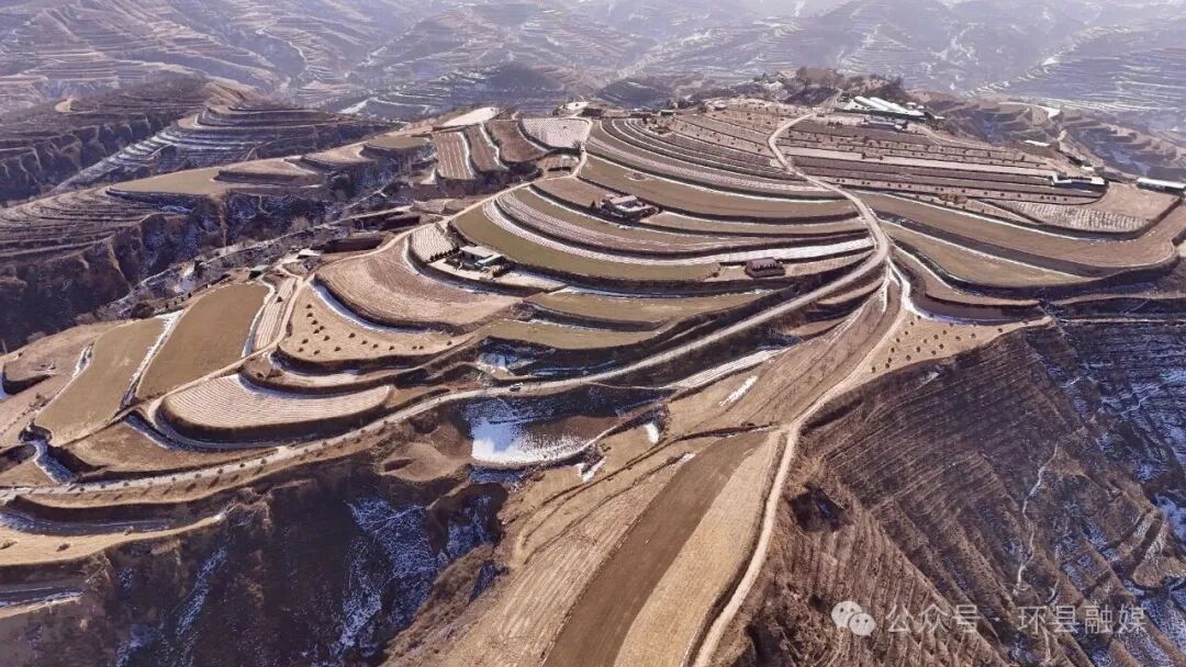 【“十四五”答卷】果豐羊壯暖冬塬——環(huán)縣曲子鎮(zhèn)樓房子村振興紀(jì)實(shí)