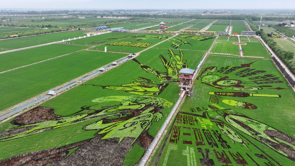 習(xí)近平總書(shū)記關(guān)切事｜幸?；ㄩ_(kāi)新農(nóng)家