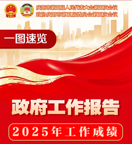 一圖速覽丨政府工作報告——2025年工作成績