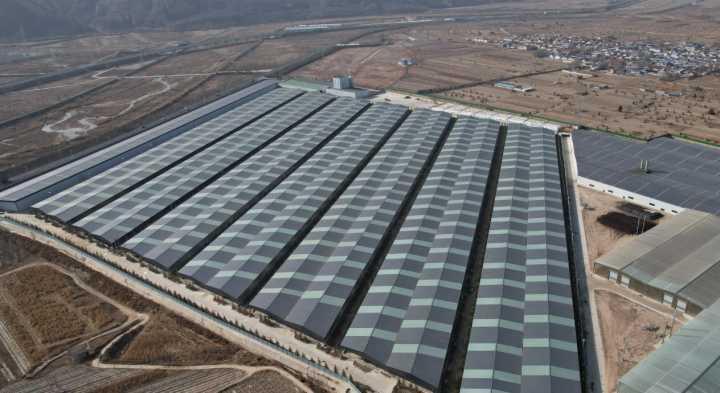 津甘同聚力 協(xié)作譜新篇——2025年津甘東西部協(xié)作工作紀(jì)實(shí)