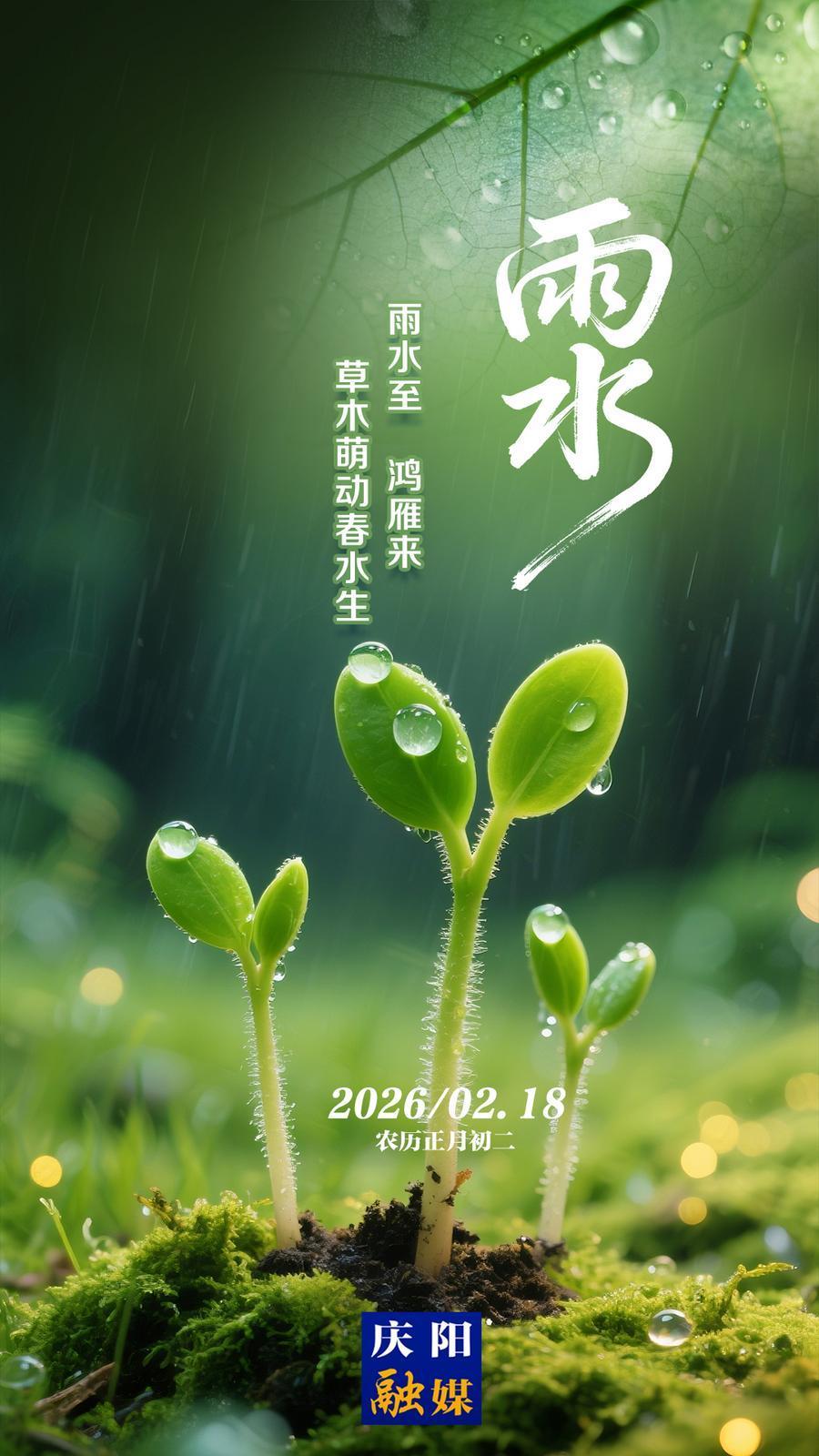 【二十四節(jié)氣·雨水】微海報丨雨水至 鴻雁來 草木萌動春水生