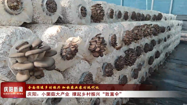 《慶陽新聞》2026年2月18日