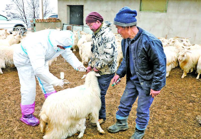 《隴東報》專版·鄉(xiāng)村振興 | 科技、黨建、工廠、產(chǎn)業(yè)齊發(fā)力，書寫慶陽鄉(xiāng)村振興新篇章！