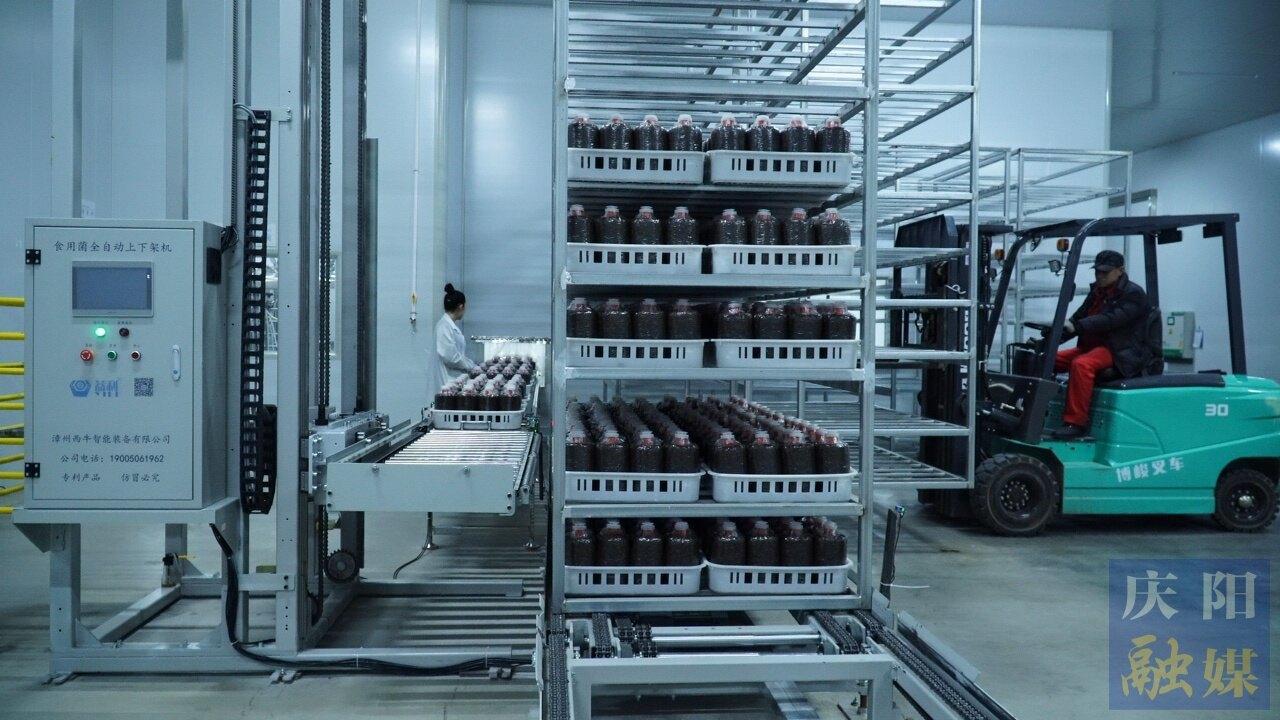 【新春走基層】從“閑”到“現(xiàn)” 寧縣太昌鎮(zhèn)廠房“變形記”