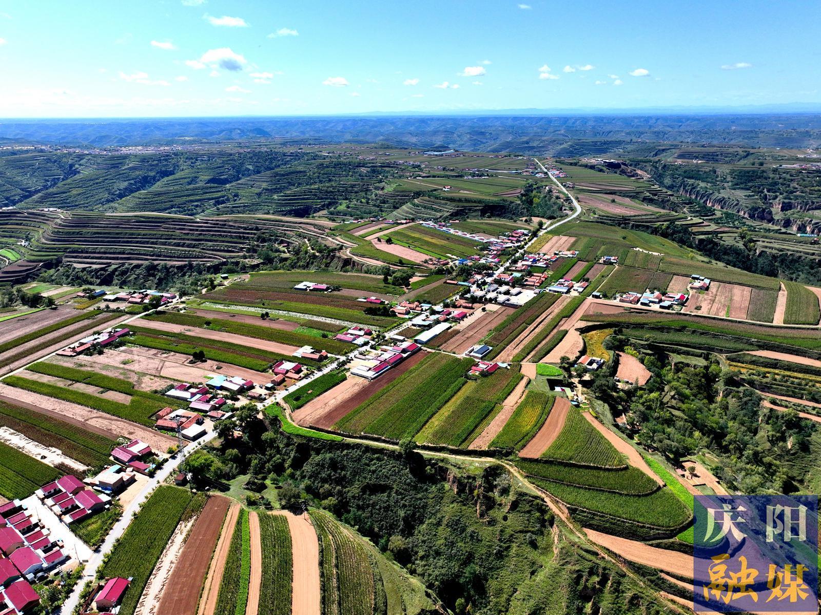 【回鄉(xiāng)偶記】我的唐家塬，變了模樣