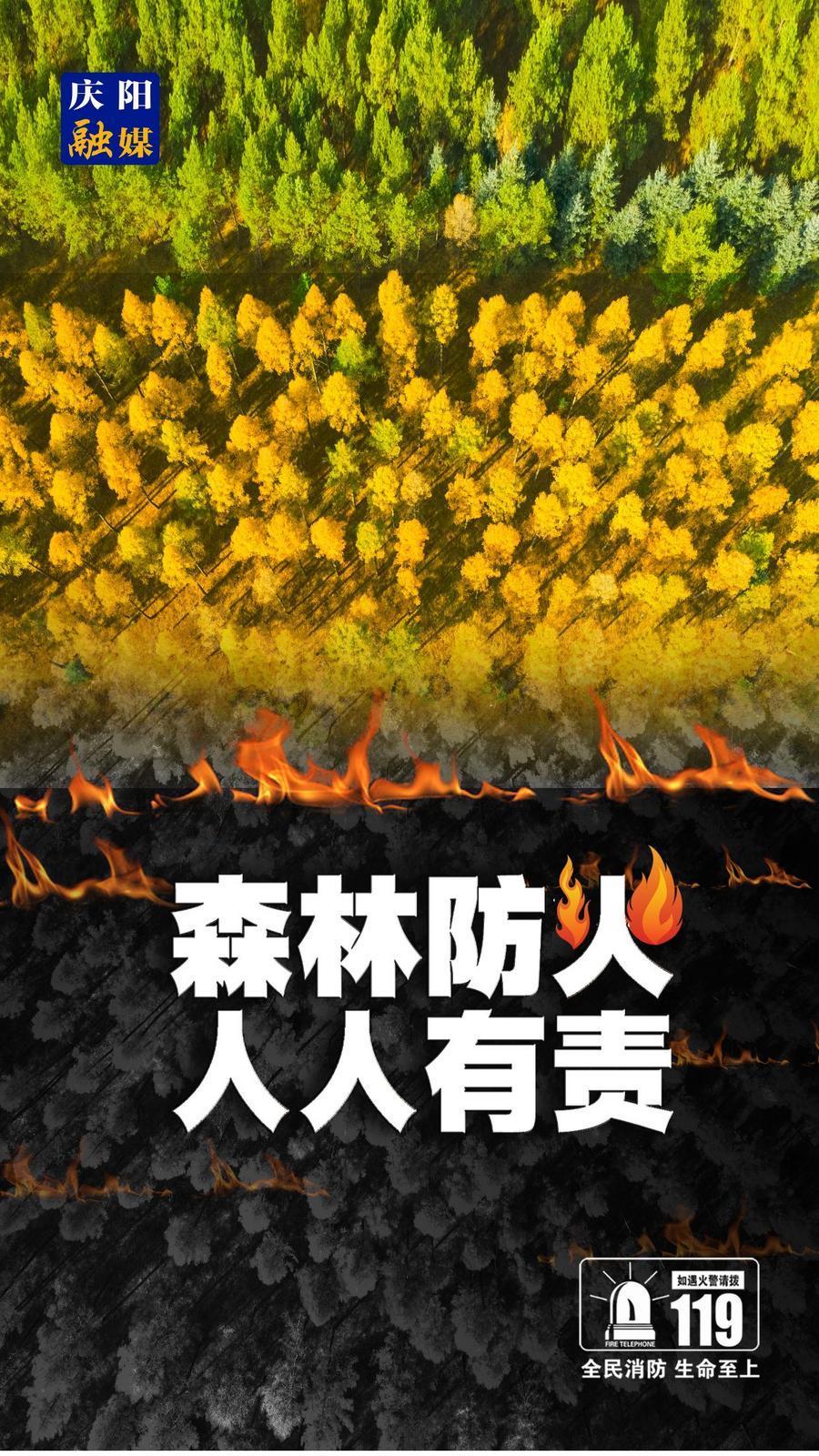 【微海報】森林防火 人人有責