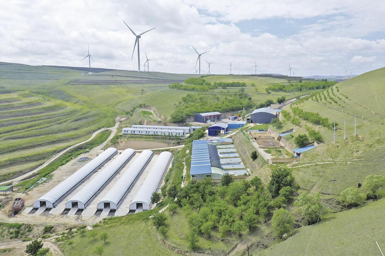 《隴東報》特刊·鄉(xiāng)村振興︱慶陽：沃野生金 鄉(xiāng)村向“新”